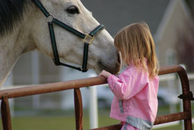 Behandlung Kind Pferd